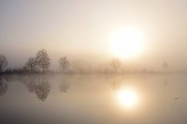 Sonbaharda gölde gün doğumu sabah sisi ve arka planda çıplak ağaçlarla