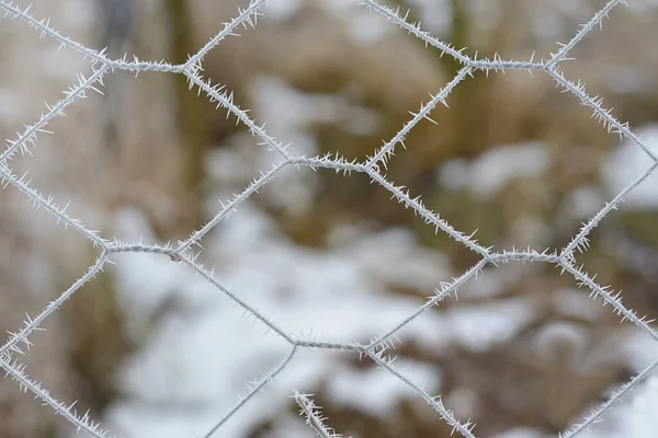 Thin Metal Fence Covered Frost Ice Crystals Blurred Background Nature — Stock Photo, Image