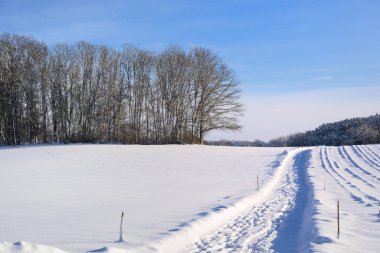 Kışın manzara, karlar içinde bir patika, ağaçlar ve mavi gökyüzü.