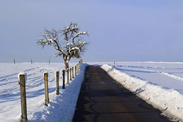 In a wintry landscape a dark road leads through the light snow, next to a fence and a bare fruit tree, in front of the horizon and a blue sky with clouds
