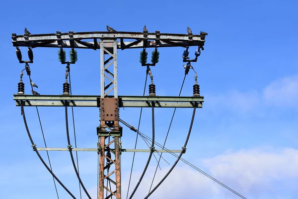 Ein Taubenpaar Sitzt Auf Einem Strommast Vor Blauem Himmel — Stockfoto