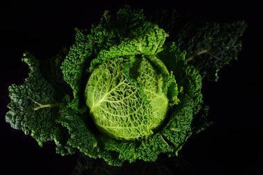İzole edilmiş yeşil savoy lahanasına yakın plan, koyu bir arka planda izole edilmiş.