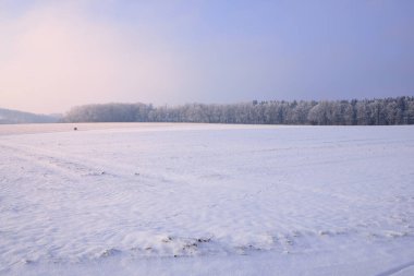 Ağaçlar ve karla kaplı Bavyera 'da kış manzarası. Mavi bir gökyüzünün önündeki geniş tarlalar karla kaplı.