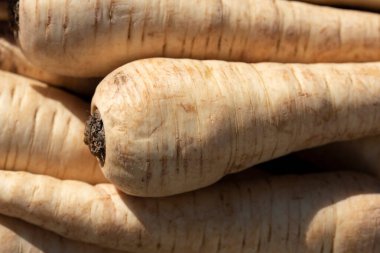 Yaban havucu yan yana yatarken yakın plan ve arka plan