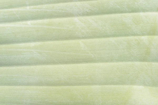 Fondo Textura Una Hoja Plátano Fresco Verde — Foto de Stock