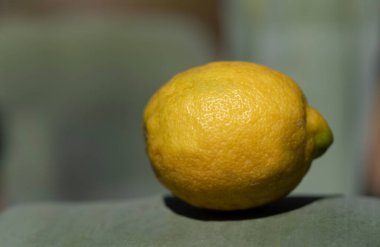 Taze sarı bir limonu, yeşil bir zemin üzerinde bir agave yaprağına yakın tut.