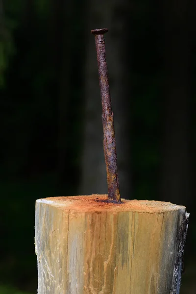 기둥에 쇠못을 클로즈업하는 — 스톡 사진