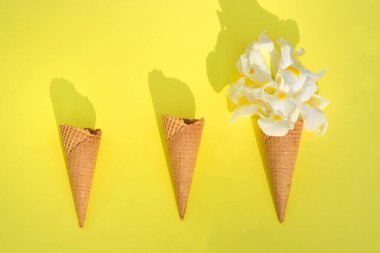 Sarı arka planda yan yana duran üç dondurma külahı var. Waffle 'da süsen çiçekleri vardır.