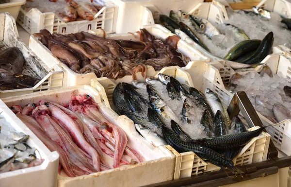 各箱不同的鲜鱼在鱼市上出售 — 图库照片