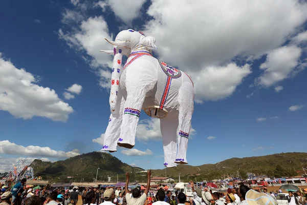 Festival de balão de ar quente — Fotografia de Stock