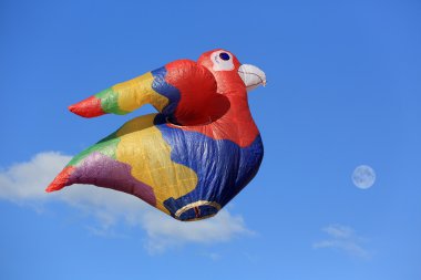  hot-air ballon festival  clipart