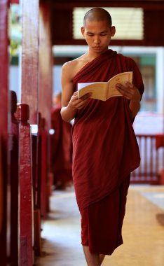 kimliği belirsiz bir Birmanya Budist acemi