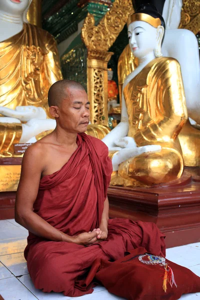 An unidentified Burmese monk — Stock Photo, Image