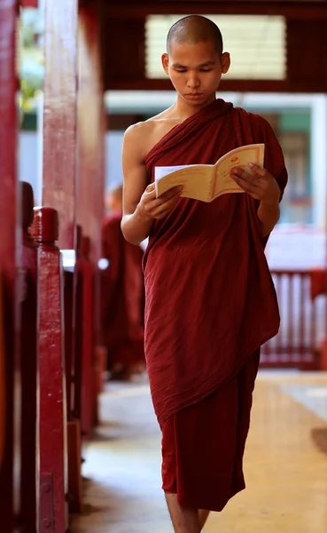Un novicio budista birmano no identificado — Foto de Stock