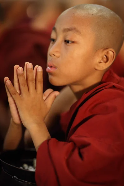 An unidentified Burmese novice praying — Stock Photo, Image