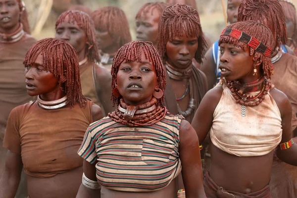 Un gruppo di donne Hamer nella Bassa Valle dell'Omo, Etiopia — Foto Stock