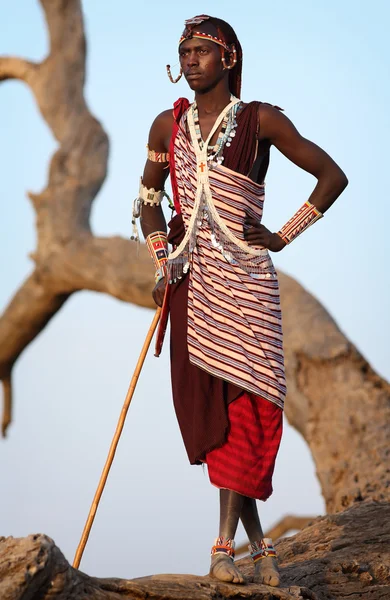 Niet-geïdentificeerde Maasai warrior — Stockfoto