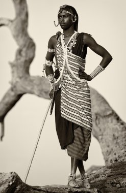 Proud Maasai warrior with traditional headdress and necklace in Loitoktok, Kenya. clipart