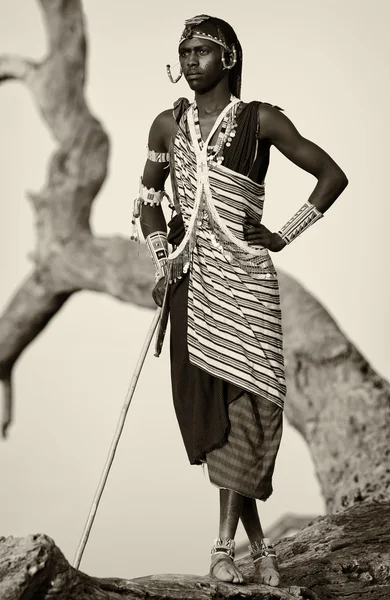 Stolzer Massai-Krieger mit traditioneller Kopfbedeckung und Halskette in loitoktok, Kenia. — Stockfoto