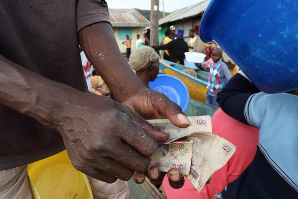 Fisherman counting money