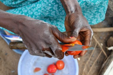 Close-up of woman cutting tomatoes clipart