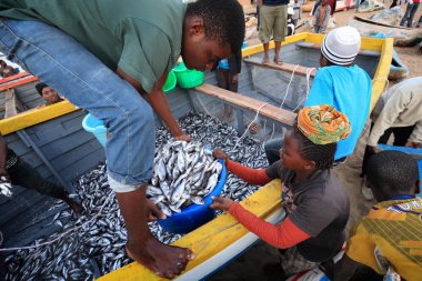 Fishermen and market women trading fish