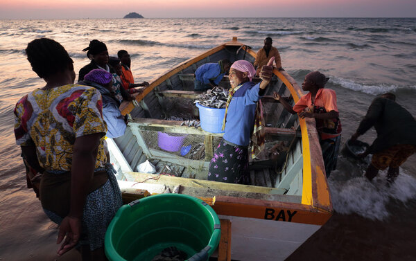 Fishermen and market women, Malawi