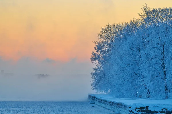 Volledig Bevroren Bomen Aan Historische Waterkant Bij Extreem Koud Weer — Stockfoto