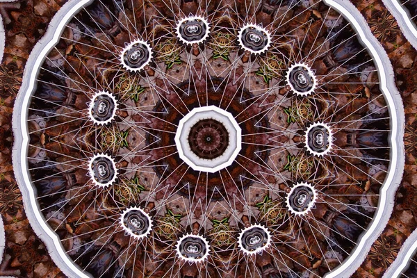 Diente de León en el papel arrugado — Foto de stock © tanor #23011218