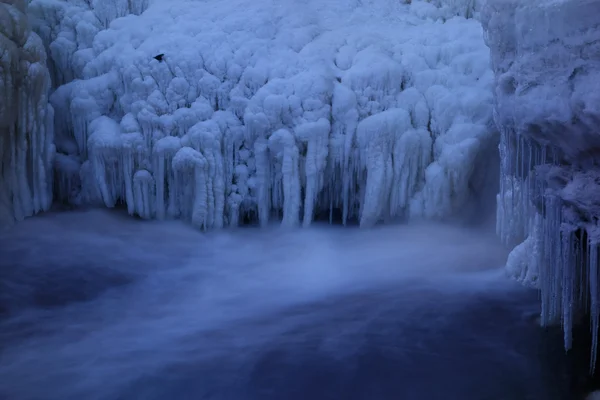 Formaciones de hielo y un pajarito junto a una cascada congelada —  Fotos de Stock