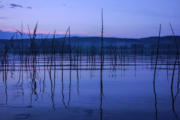 Lugn och dimmiga sjön efter kraftigt regn — Stockfoto