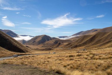 Yeni Zelanda 'nın güneyindeki sihirli yol