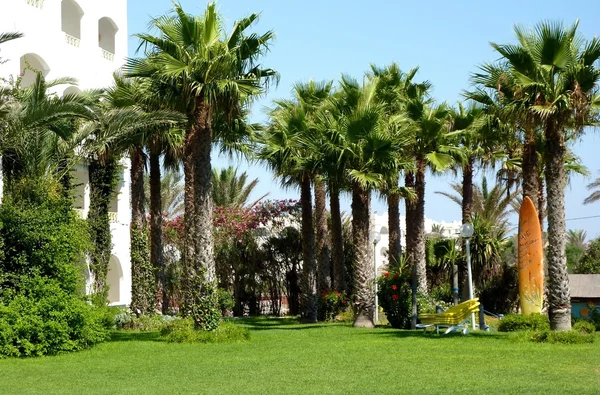 Palm Garden