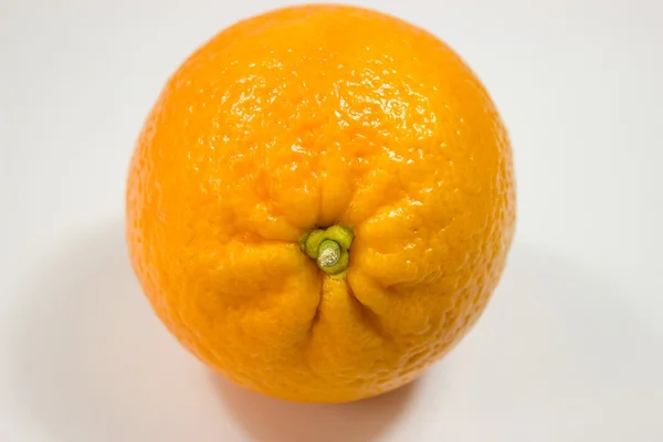 Una naranja — Foto de Stock