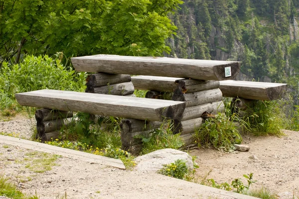 Benches in nature — Stock Photo, Image