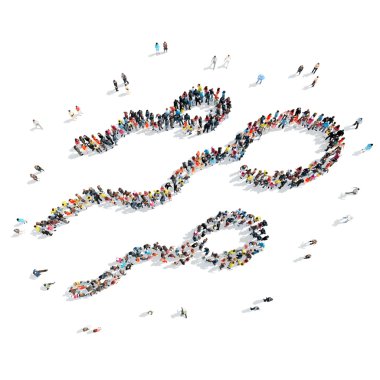 İnsanlar şekil spermotazoidy tıp