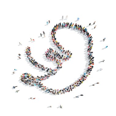 insanlar şekli embriyo tıp