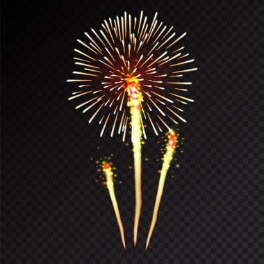 Fireworks Festival patlama parlak vektör