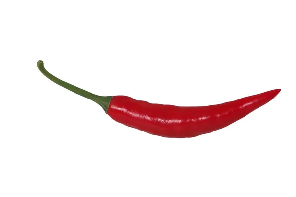 Chiles Rojos Aislados Sobre Fondo Blanco — Foto de Stock