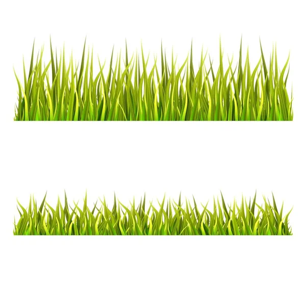 Set Grass Vectors Isolated White Background — Stock Vector