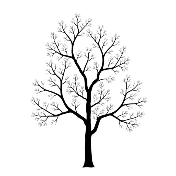 Silhouette Eines Abgestorbenen Baumes Isoliert Auf Weißem Hintergrund Schwarz Weiß — Stockvektor