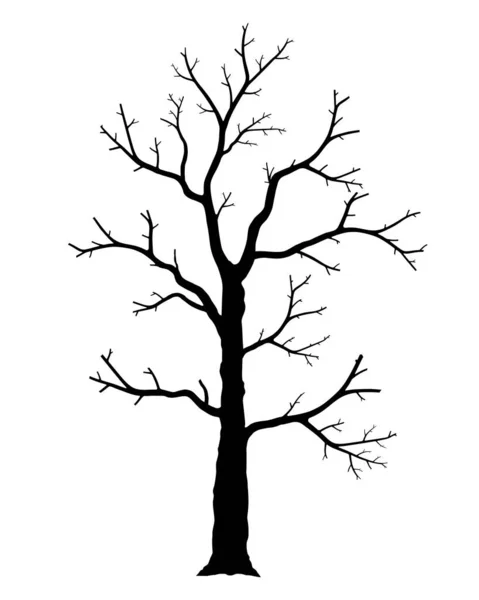 Naked Tree Silhouette Dead Trees Isolated White Background Black White — Stock Vector