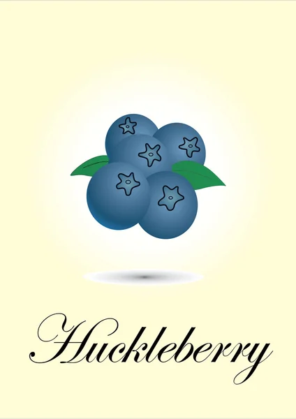 Huckleberry — Stock Vector