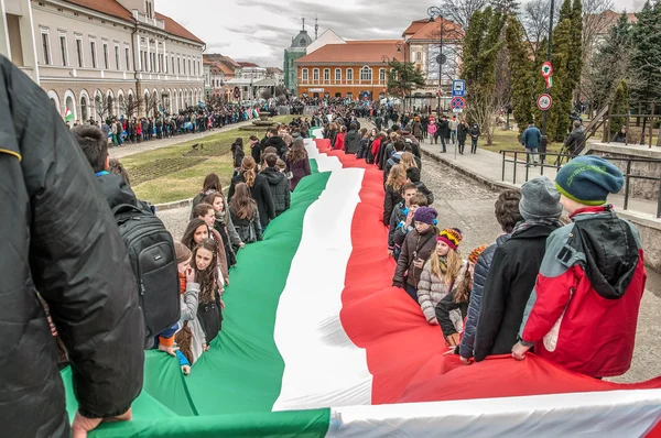 Hungary 's Day — Stock Photo, Image