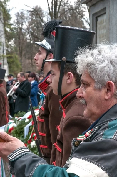 Hungary 's Day — Stock Photo, Image