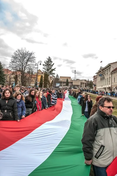 Macaristan'ın gün — Stok fotoğraf