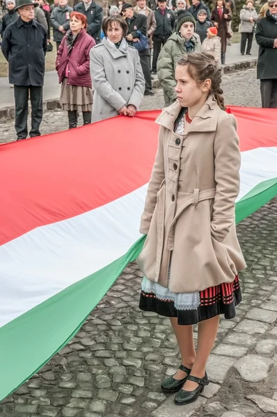 Hungary 's Day — Stock Photo, Image