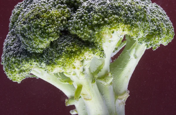 Broccoli Freschi Con Gocce Acqua Isolate Fondo Rosso — Foto Stock