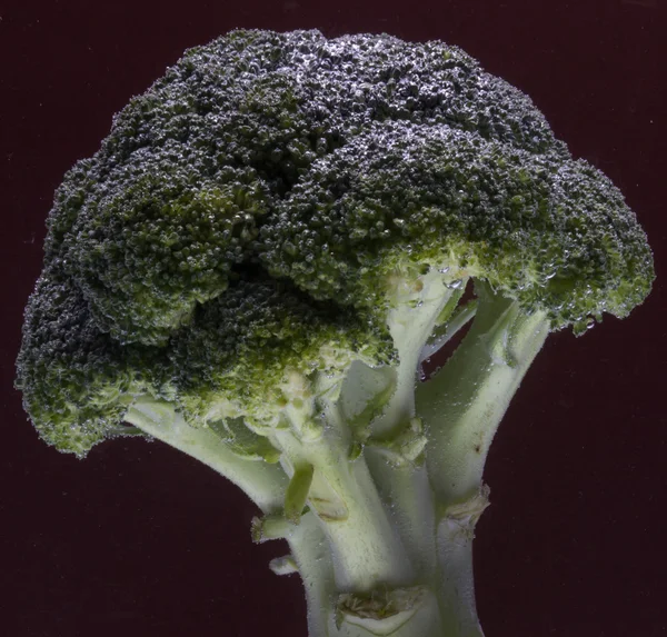 Broccoli Freschi Con Gocce Acqua Isolate Fondo Nero — Foto Stock