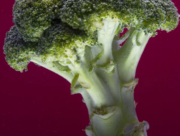 Broccoli Freschi Con Gocce Acqua Isolate Fondo Rosso — Foto Stock